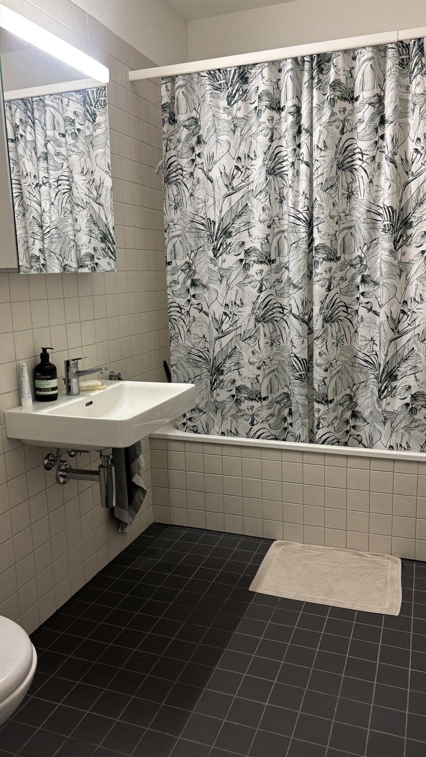 1 ½ rooms furnished flat, photo 10 of 10