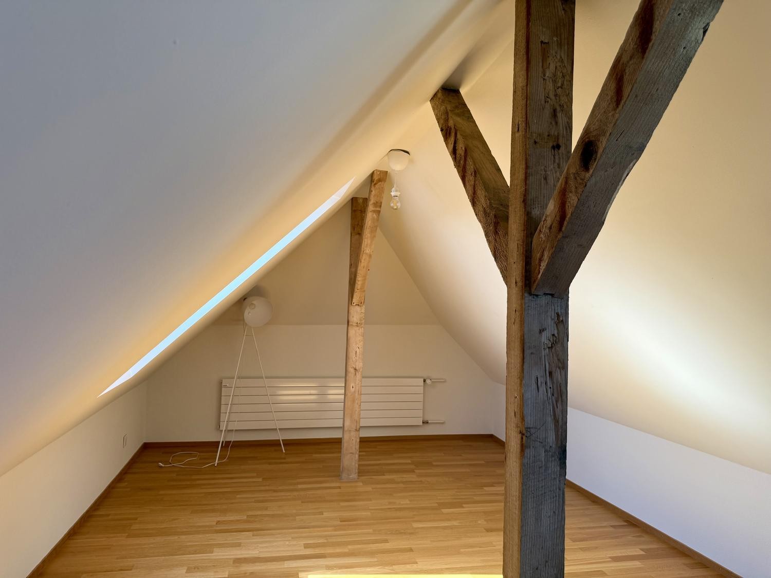 3 ½ Zimmer Wohnung