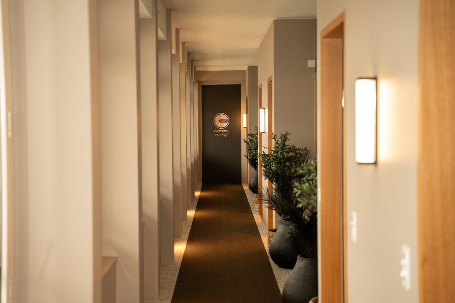 2 rooms apartment
