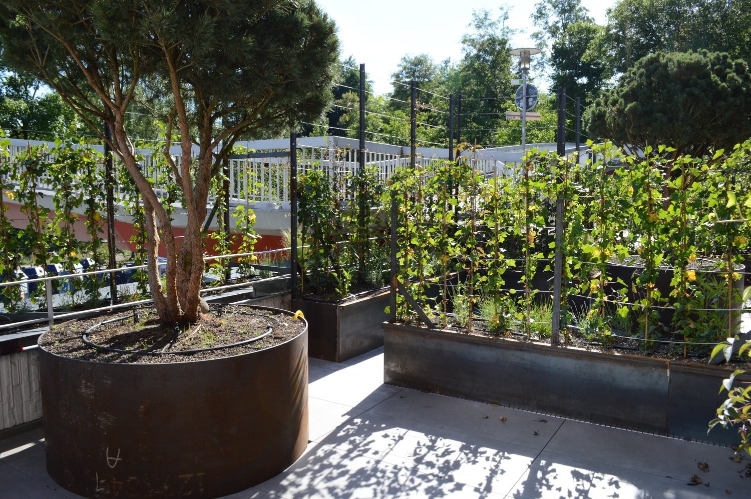 1 ½ rooms apartment, photo 9 of 10