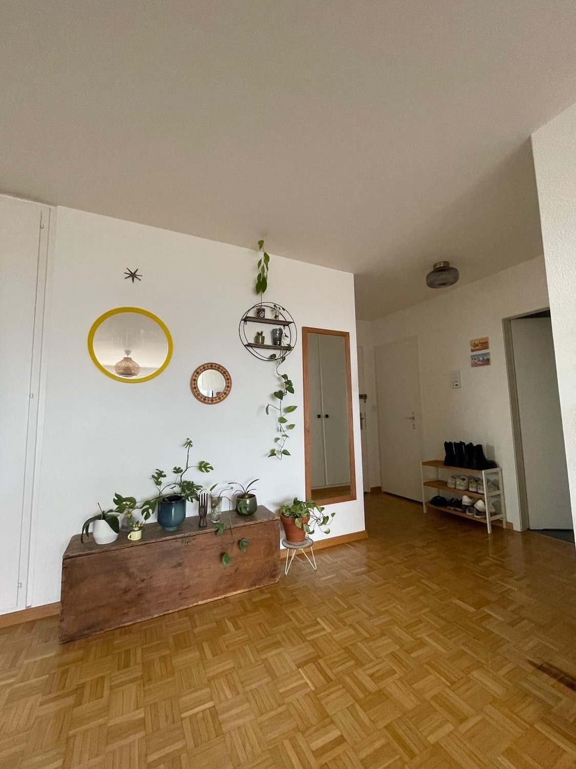 Room in a shared flat