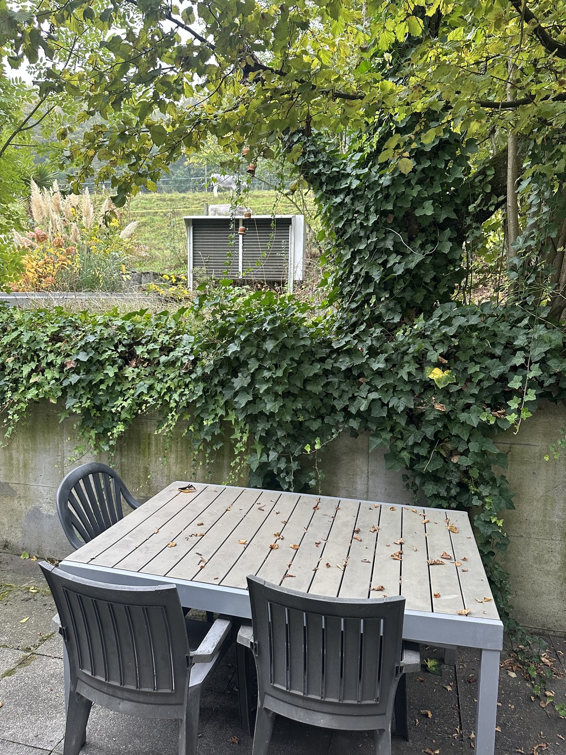 Room in a shared flat, photo 7 of 7
