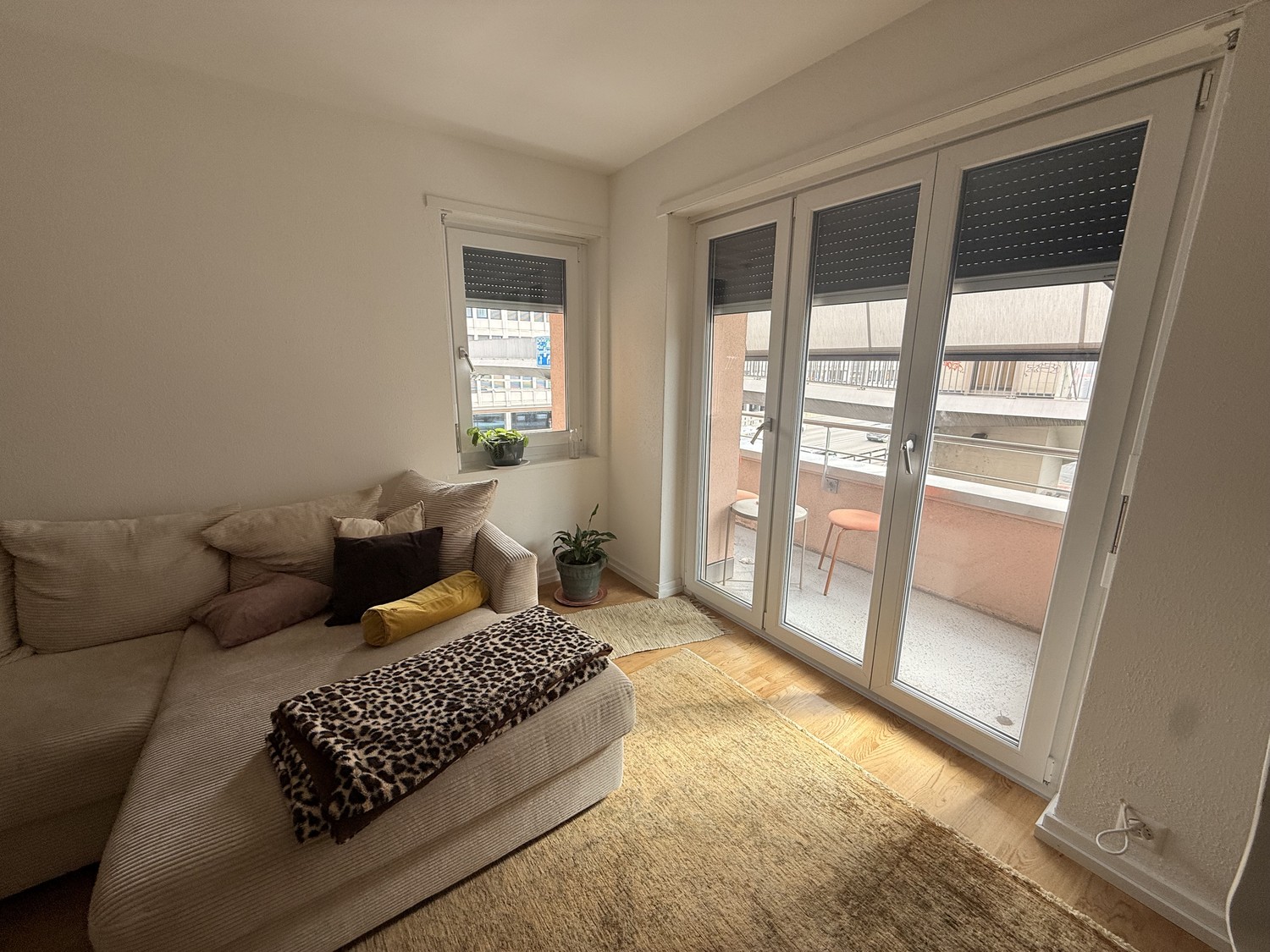 Room in a shared flat