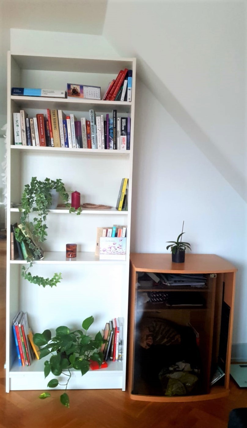 2 ½ rooms apartment