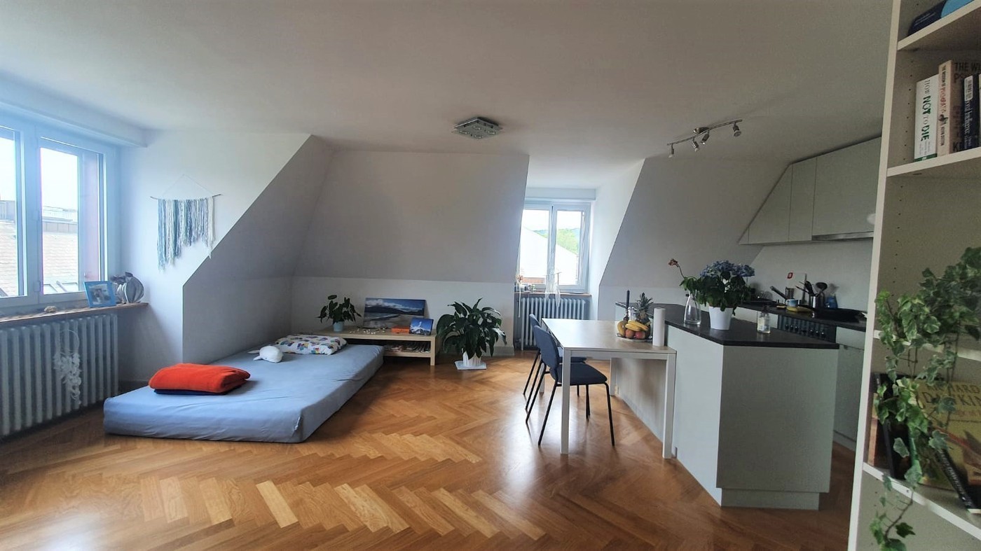 2 ½ rooms apartment