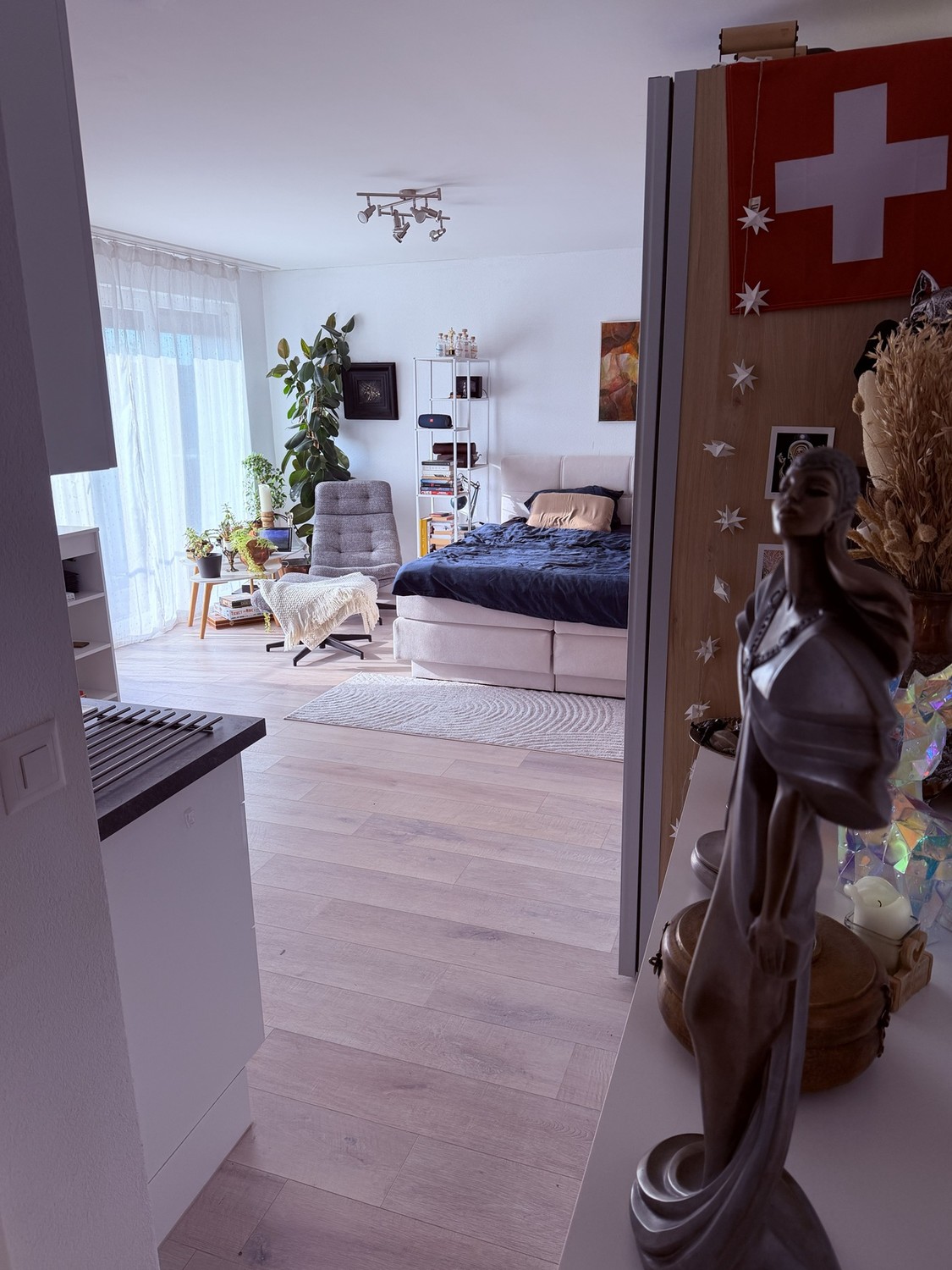 Appartement de 1 ½ pièce