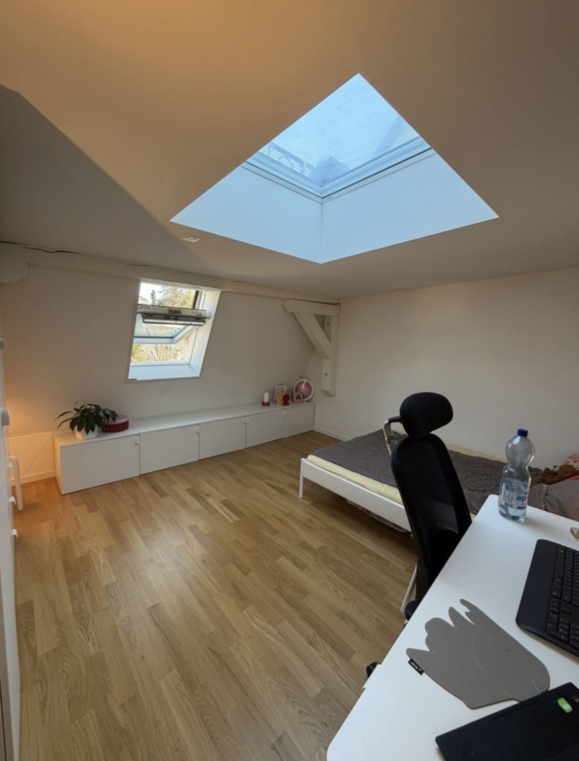 Room in a shared flat