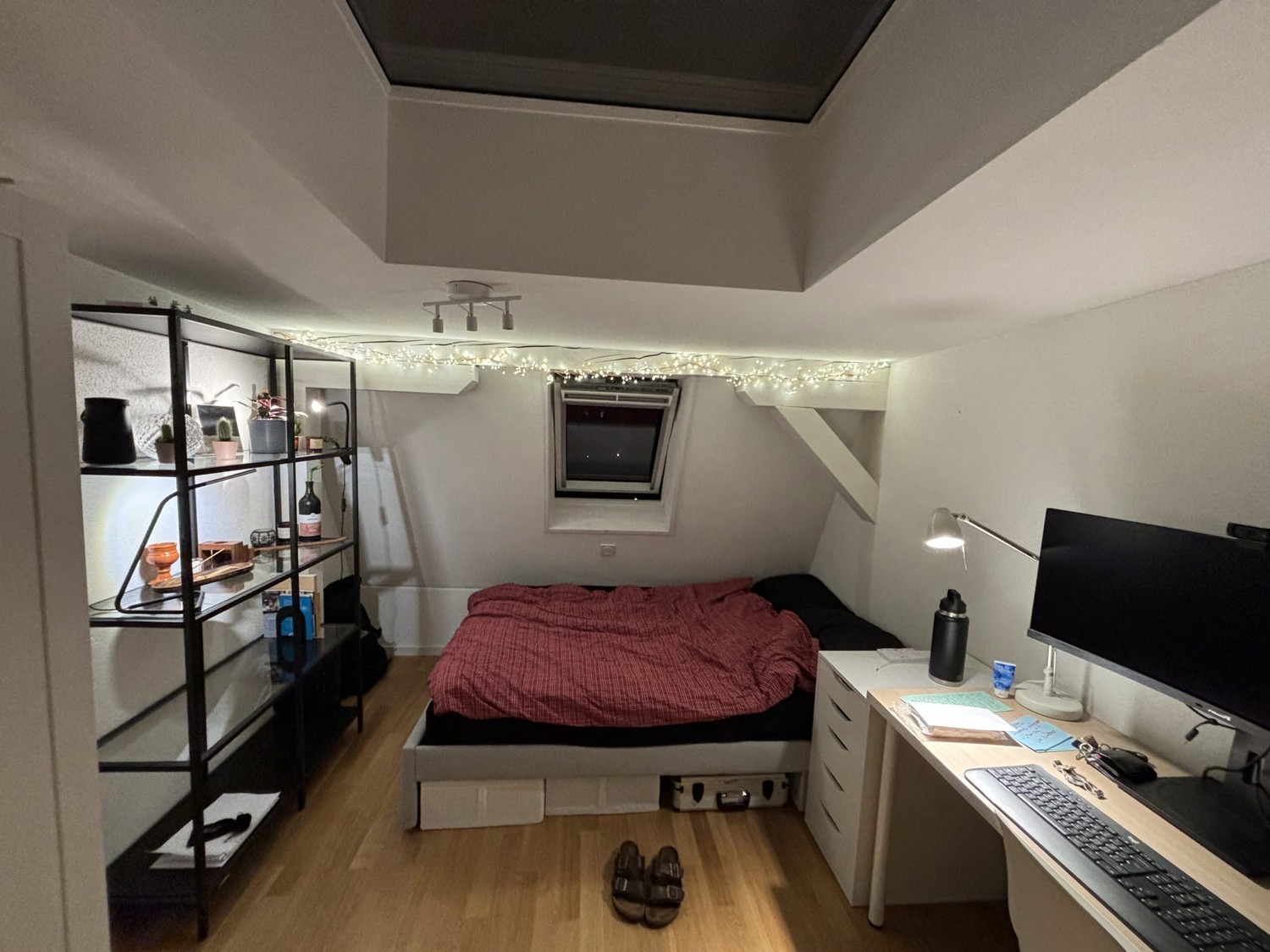 Room in a shared flat