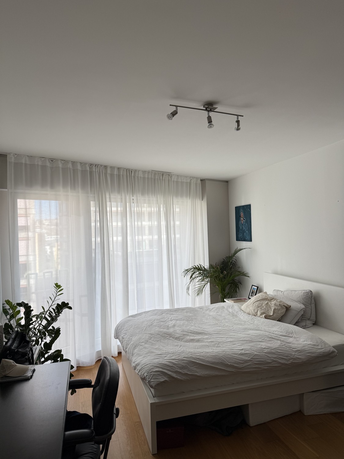 Chambre dans une colocation