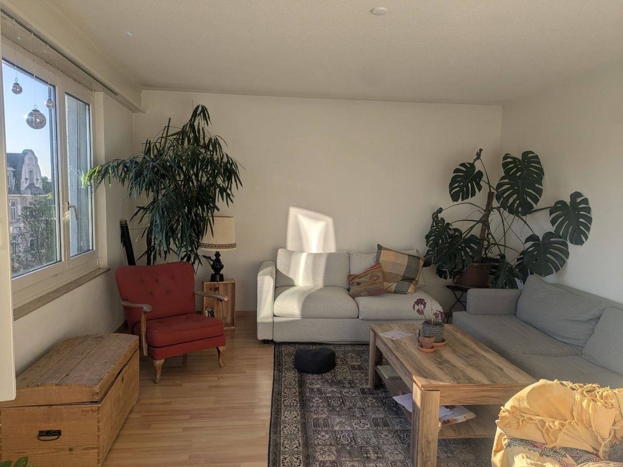 Room in a shared flat