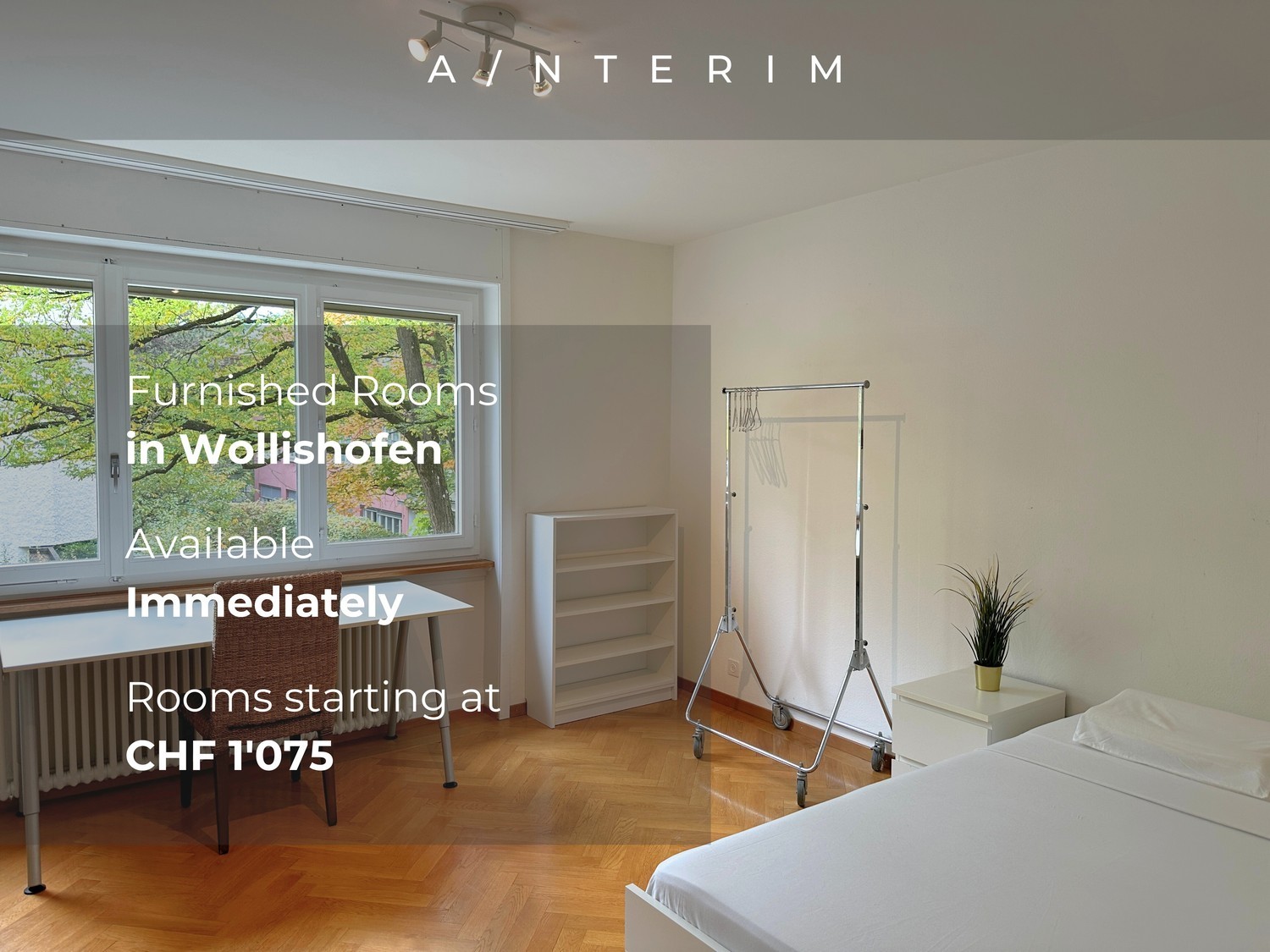 Chambre dans un appartement partagé