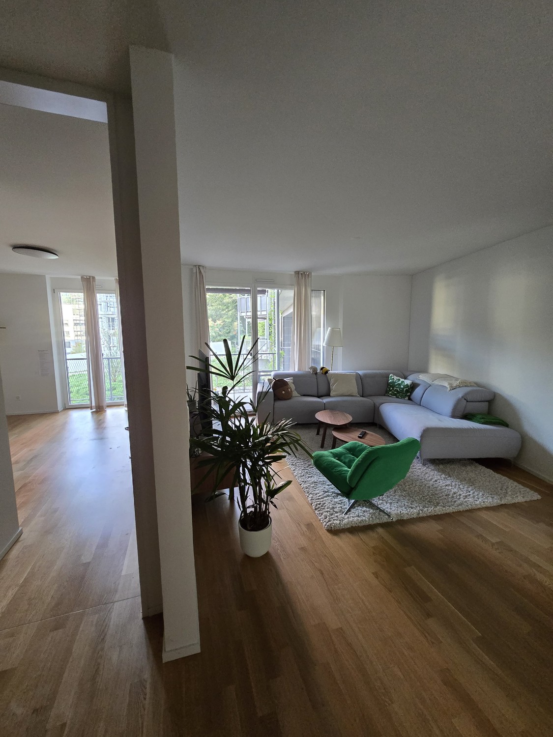 Room in a shared flat
