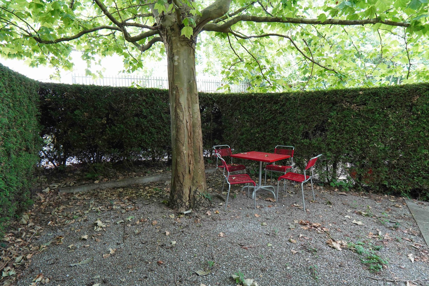 2 ½ Zimmer Wohnung