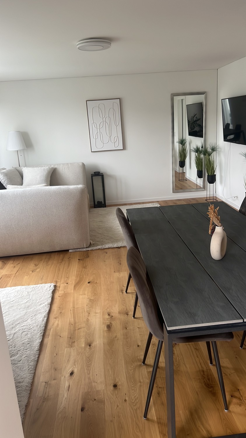 2 ½ pièces appartement
