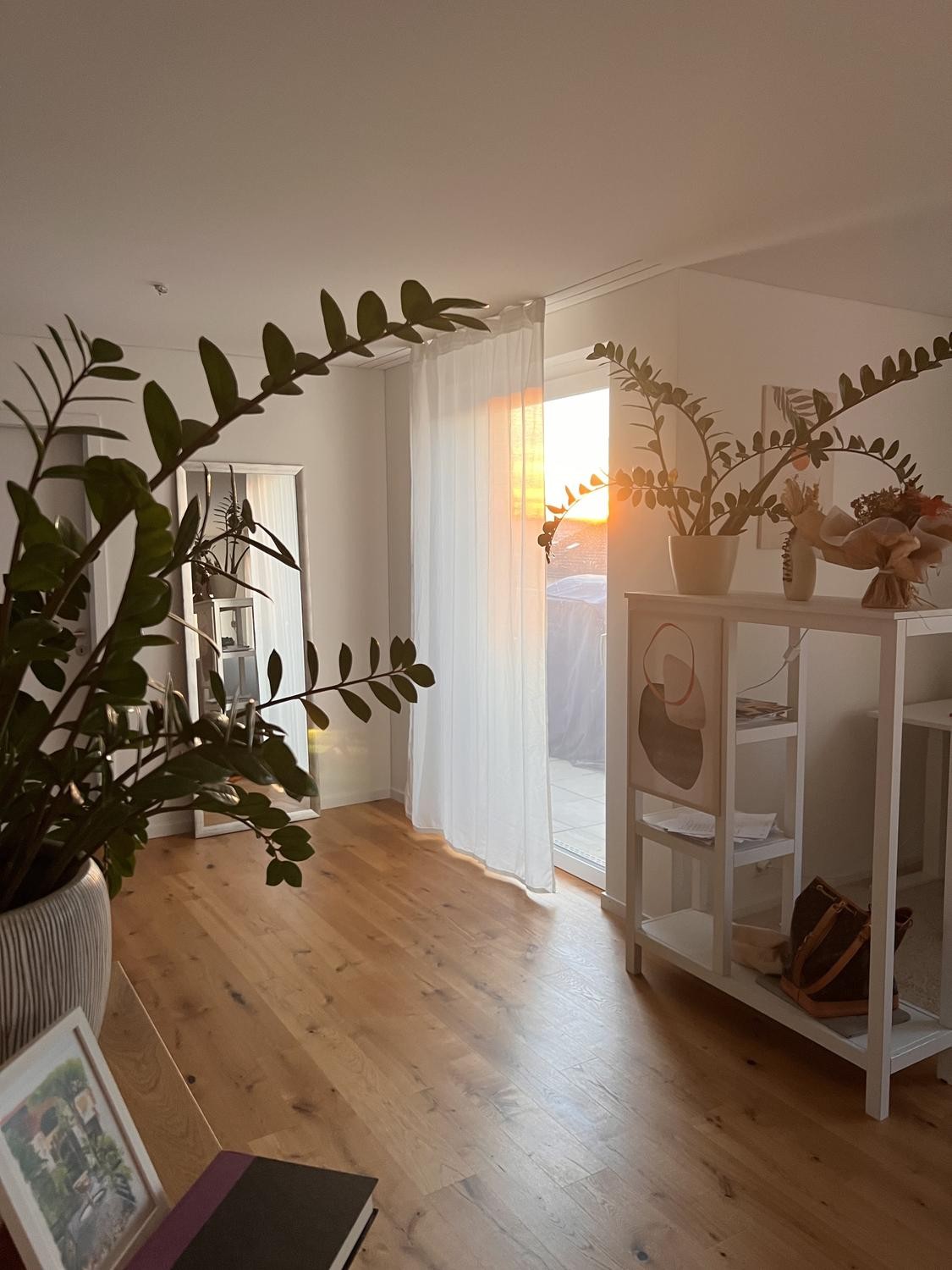2 ½ pièces appartement