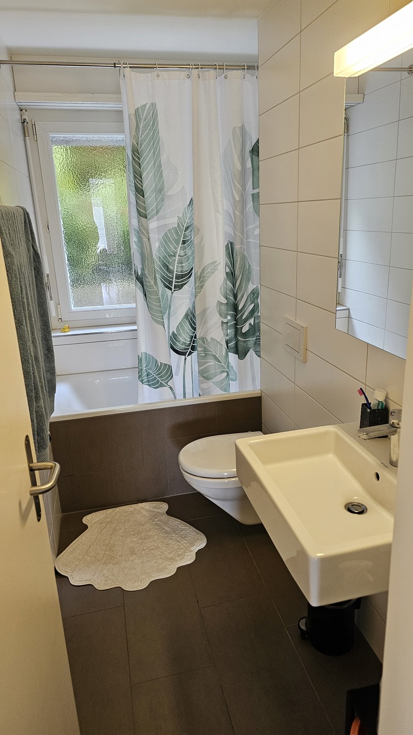 Room in a shared flat
