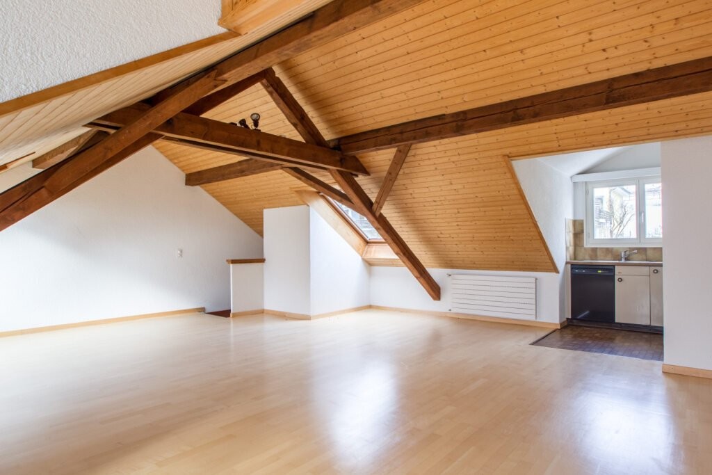 2 ½ rooms duplex