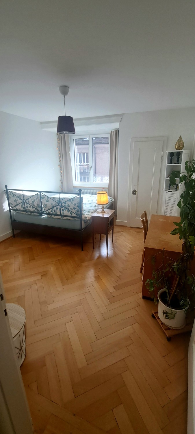 Room in a shared flat
