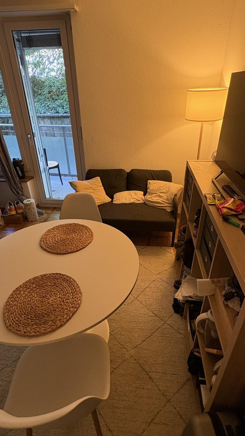 1 room apartment