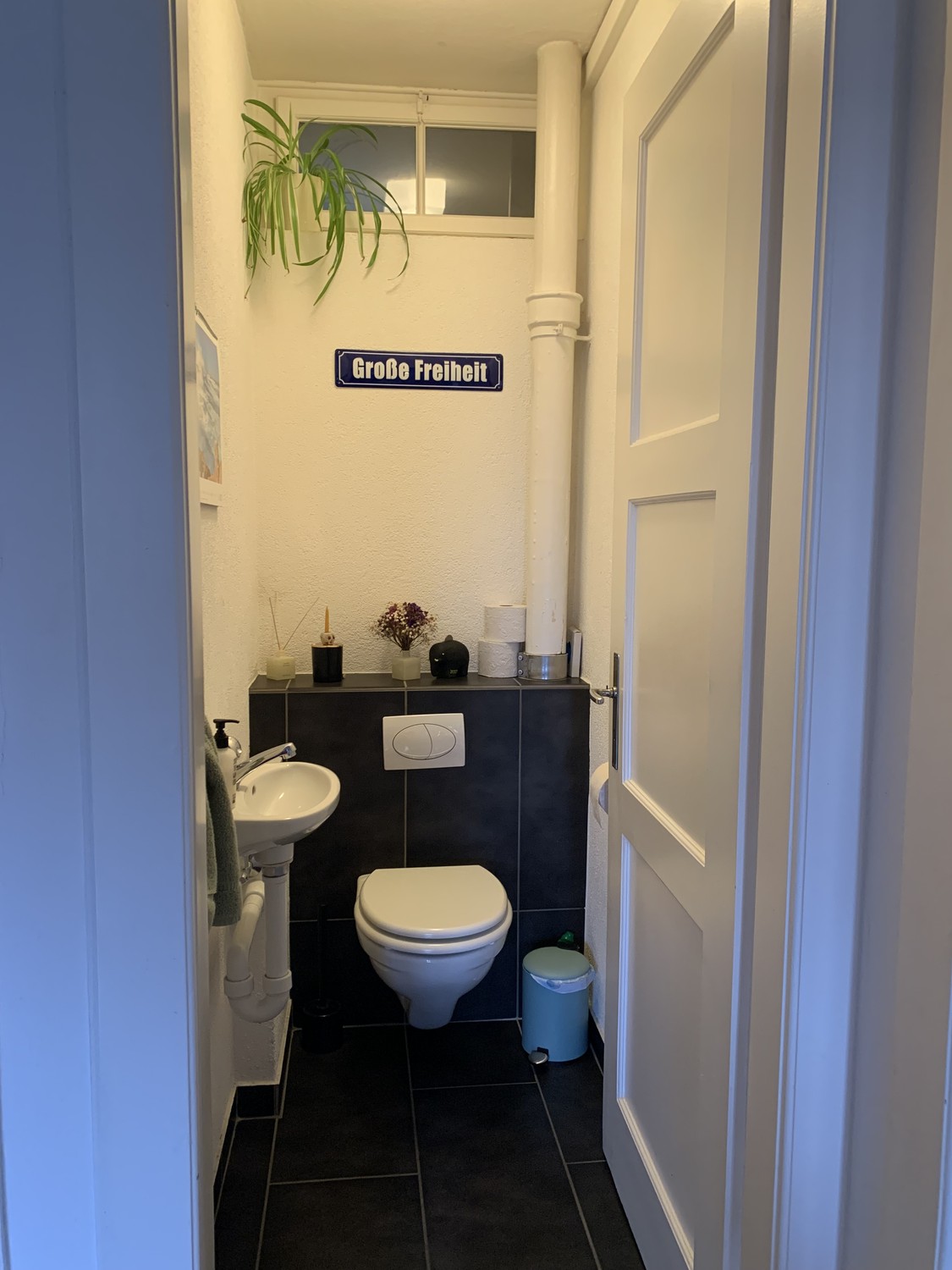 Room in a shared flat