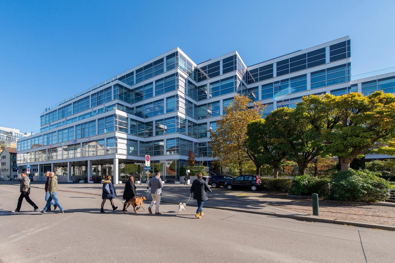 479m² office