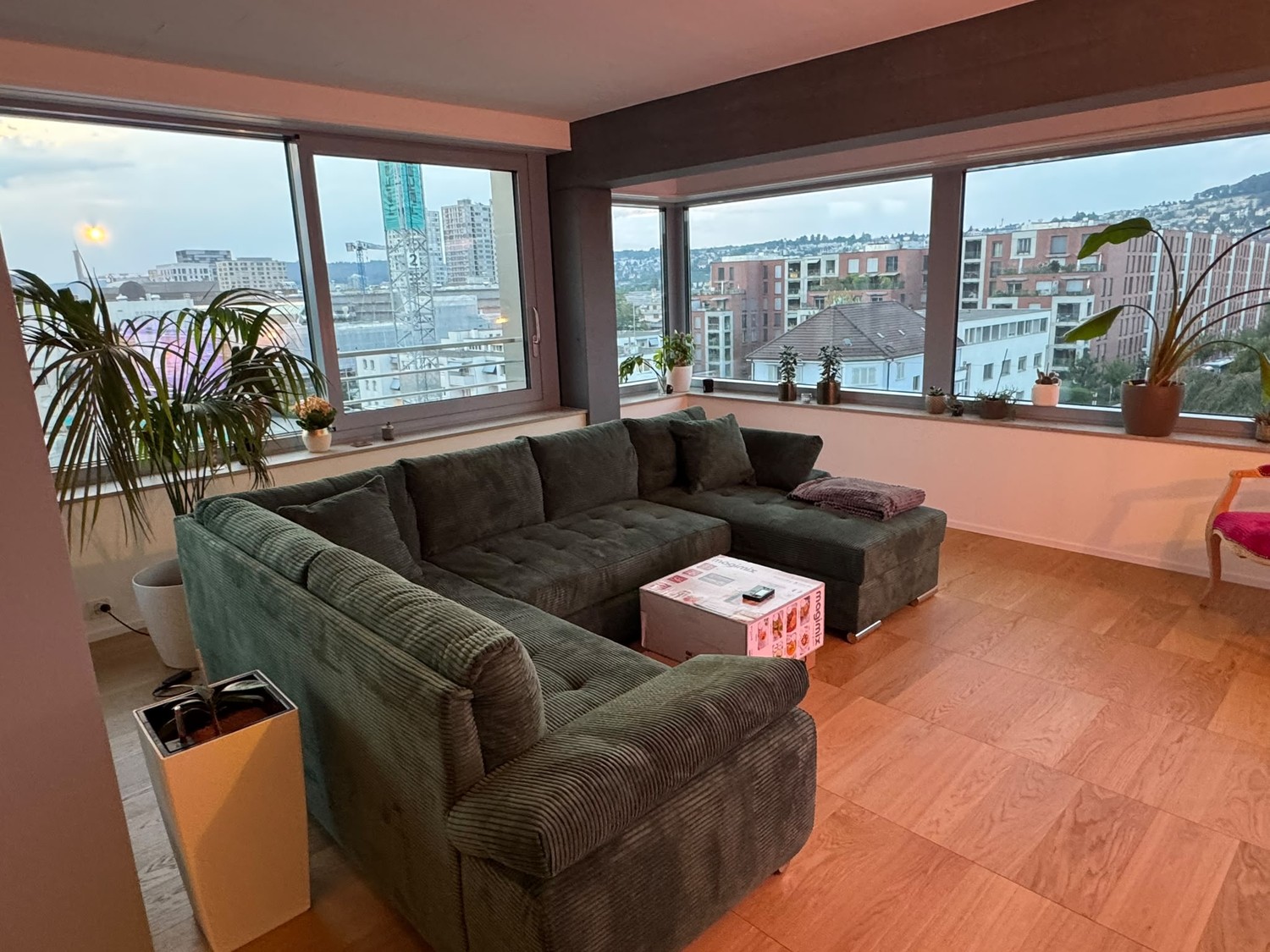 Room in a shared flat