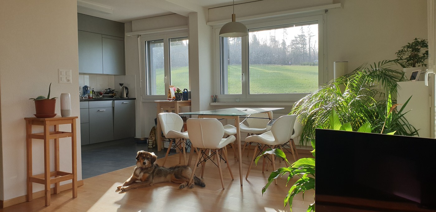 Room in a shared flat