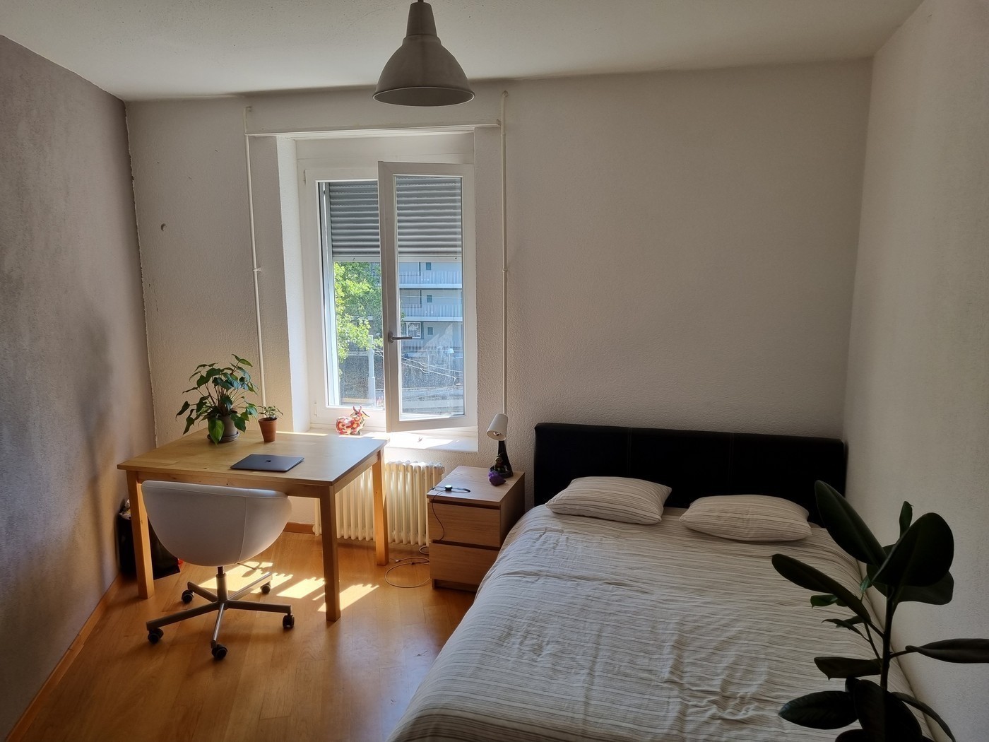 Room in a shared flat