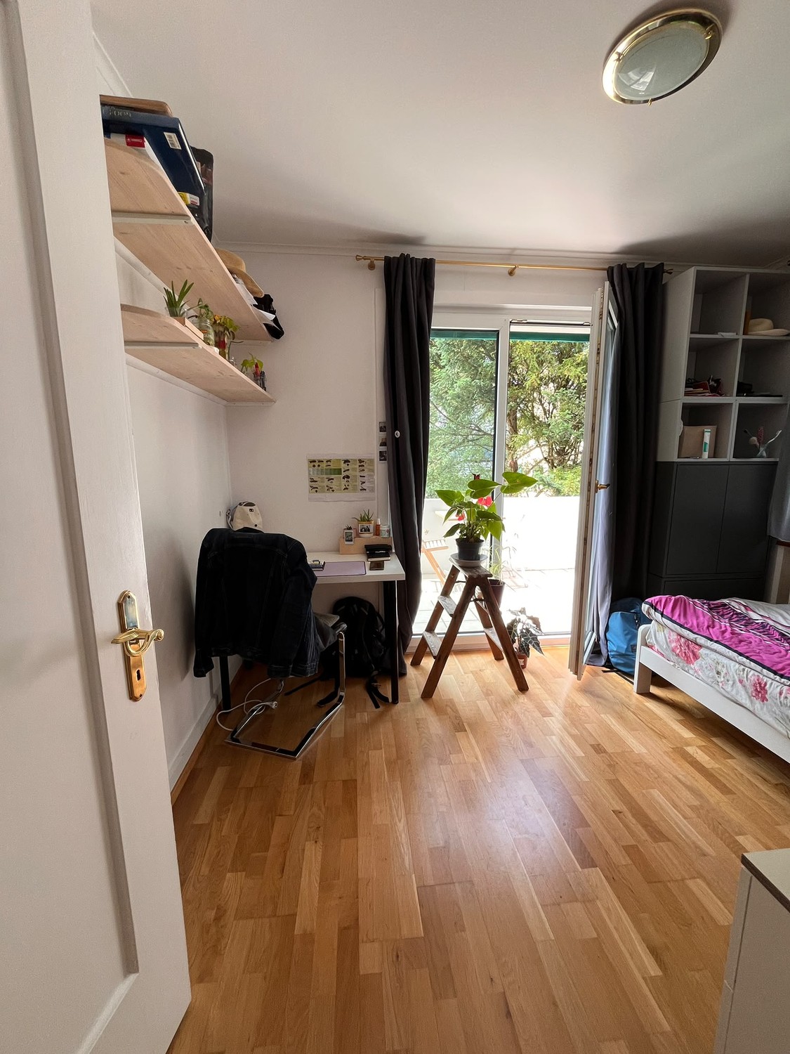 Room in a shared flat