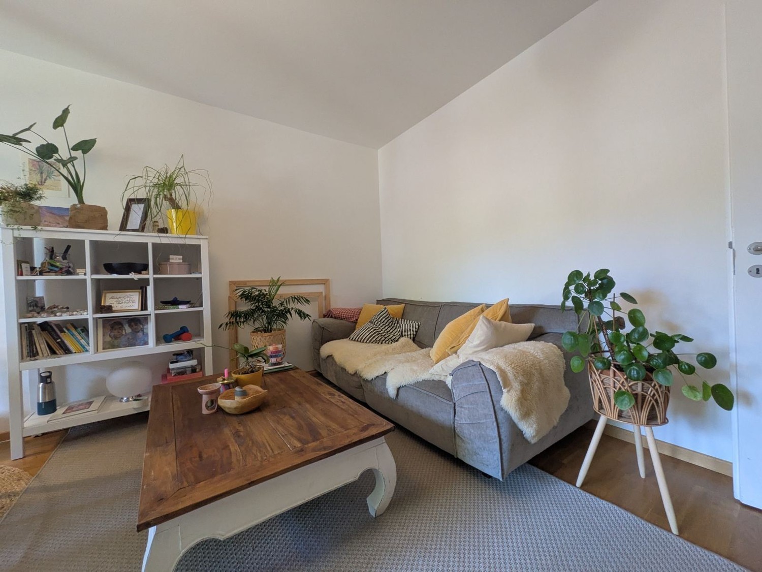 Room in a shared flat