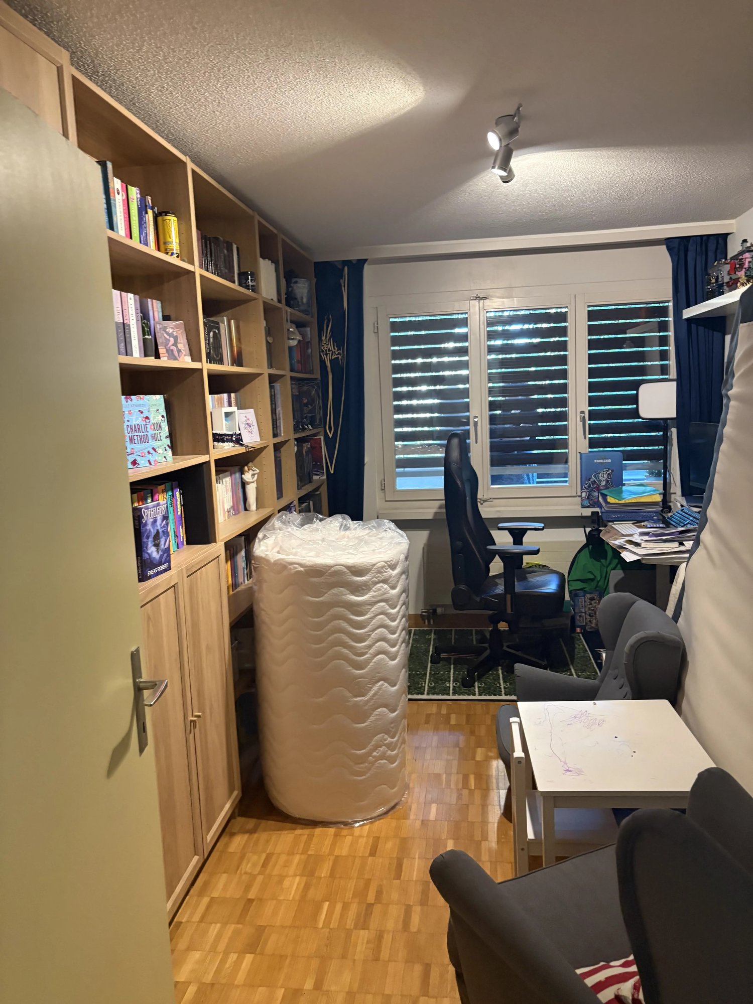 Room in a shared flat