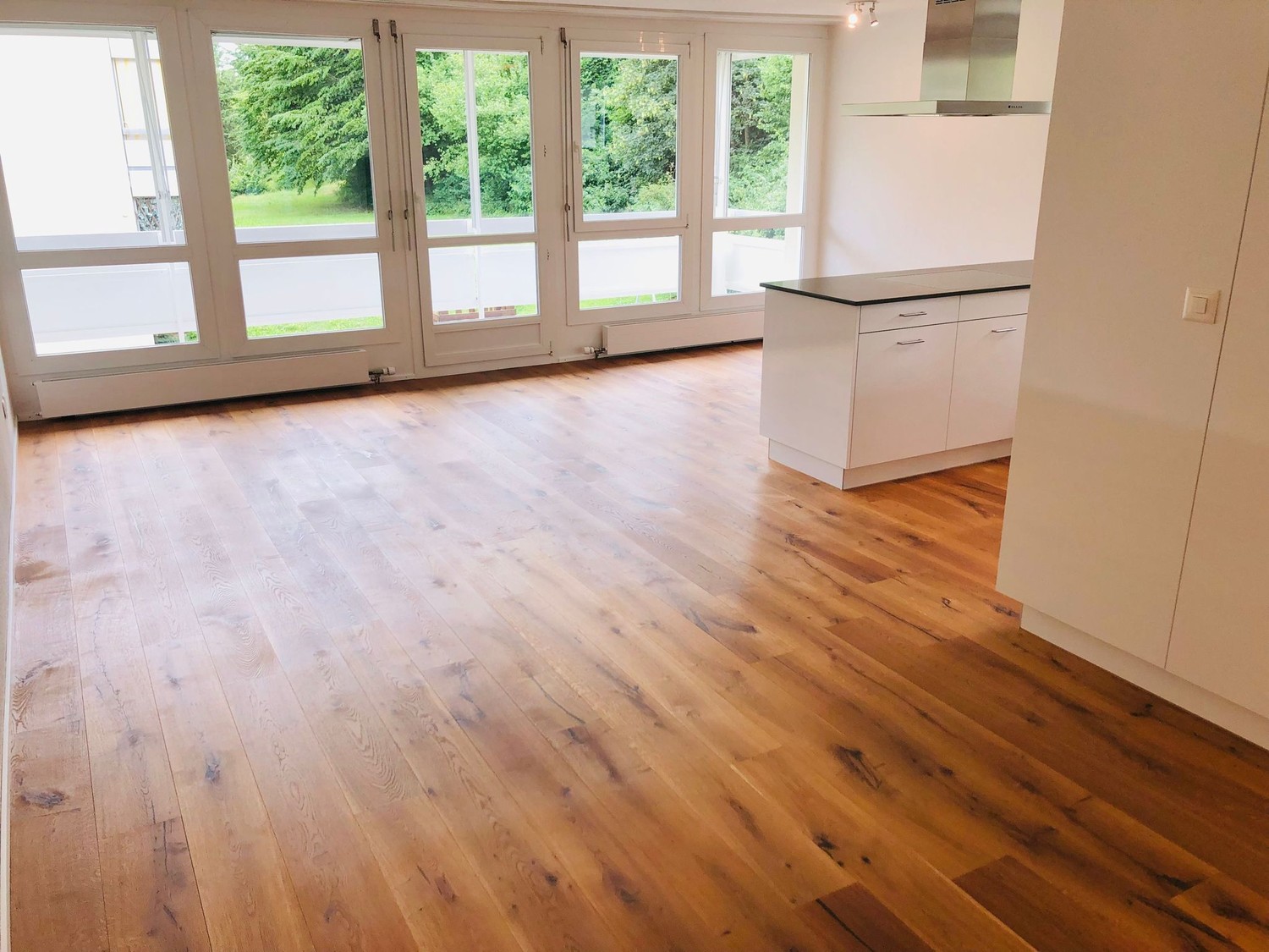 4 ½ rooms apartment