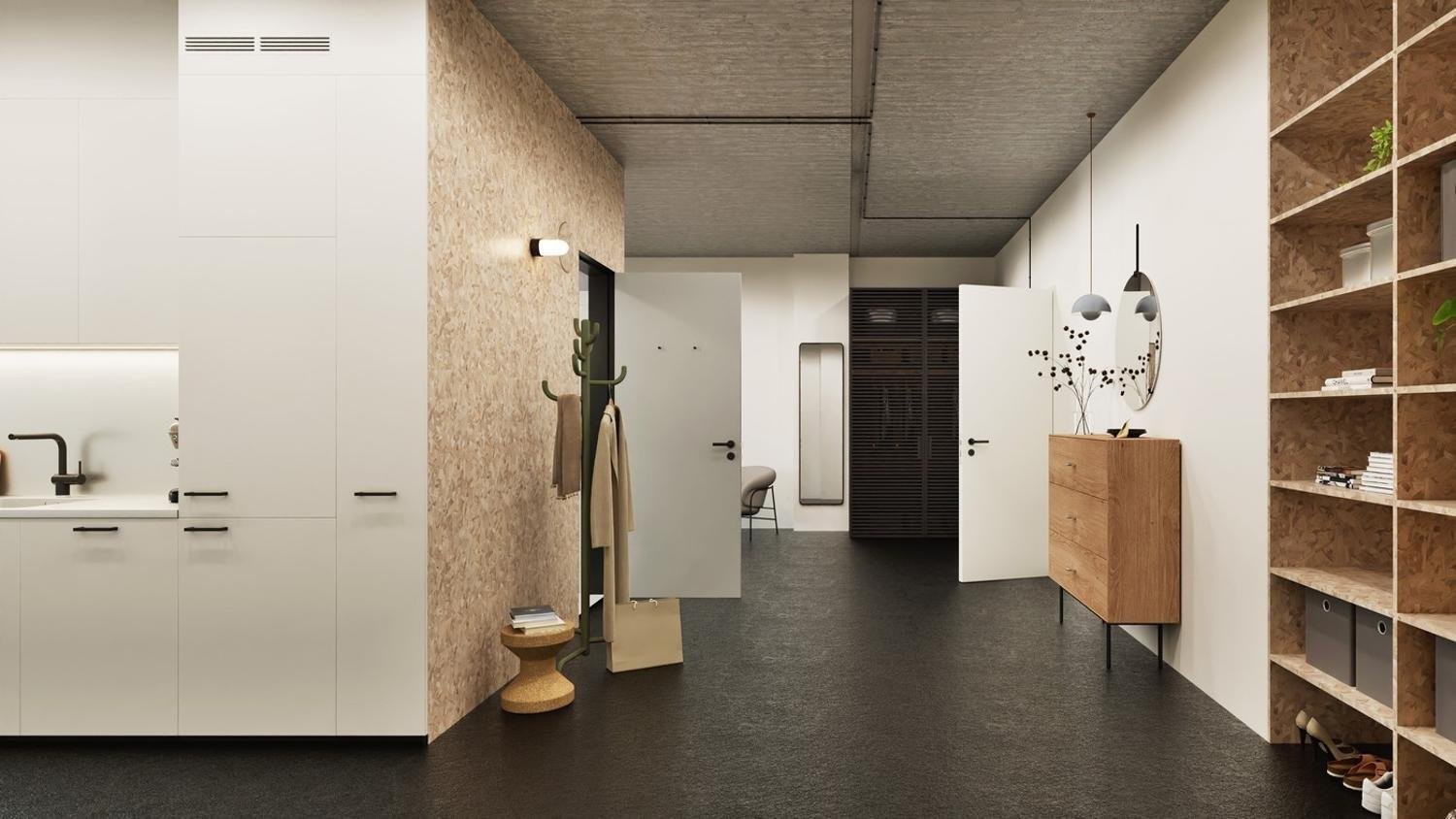 1 ½ pièces loft