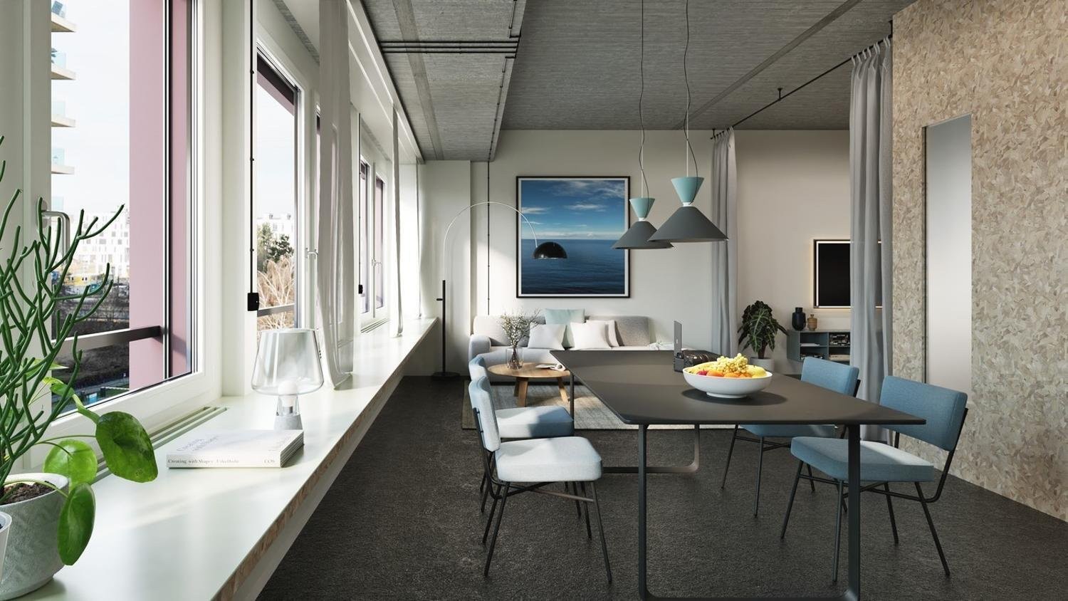 1 ½ pièces loft