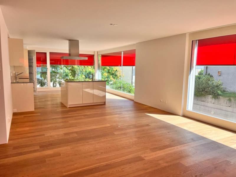 4 ½ rooms apartment