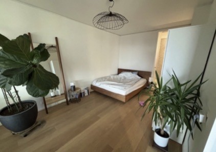 2 ½ rooms apartment, photo 4 of 4