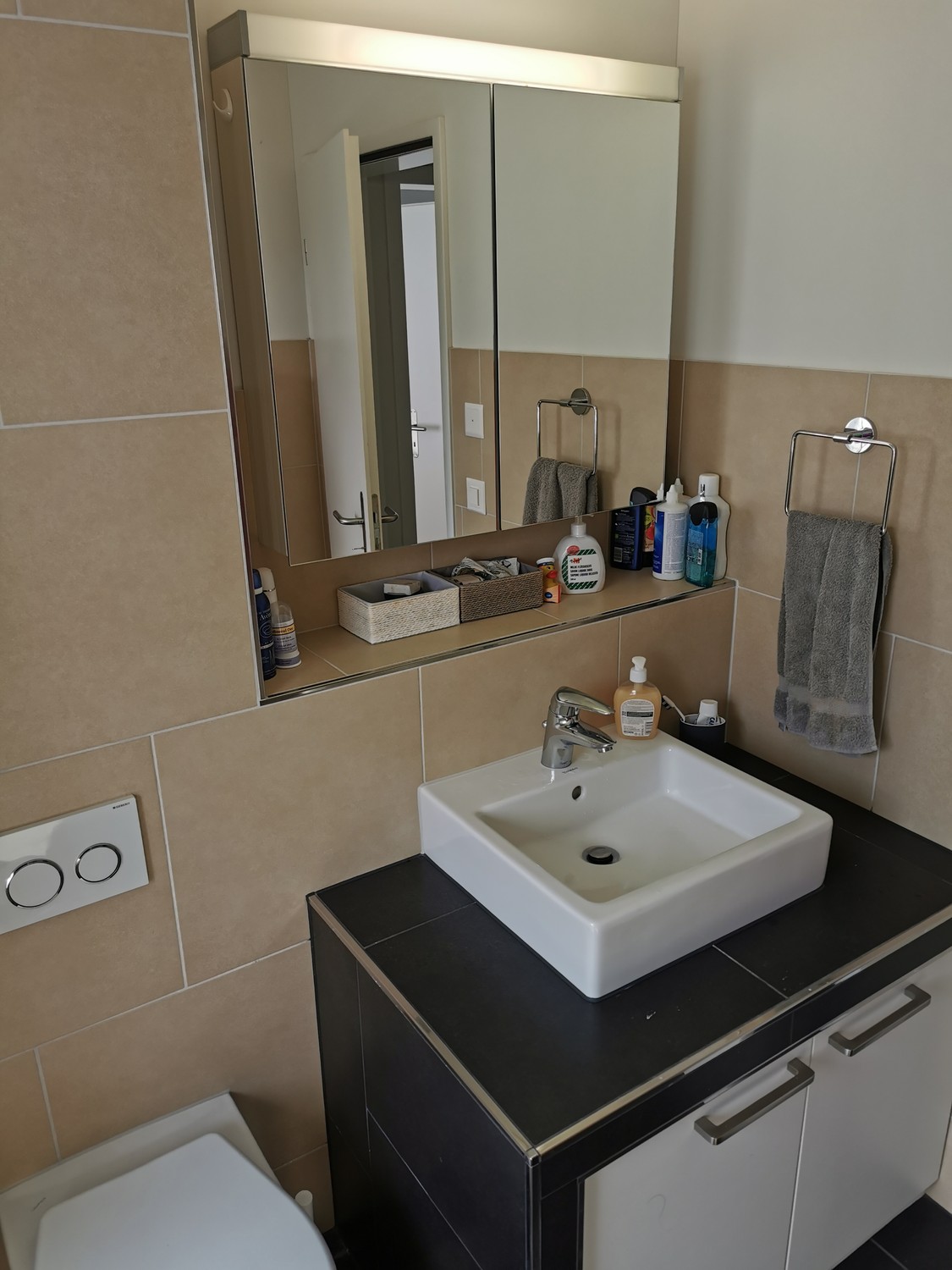 Furnished 3.5-room apartment for sublet in Zurich Schwamendingen–Stettbach