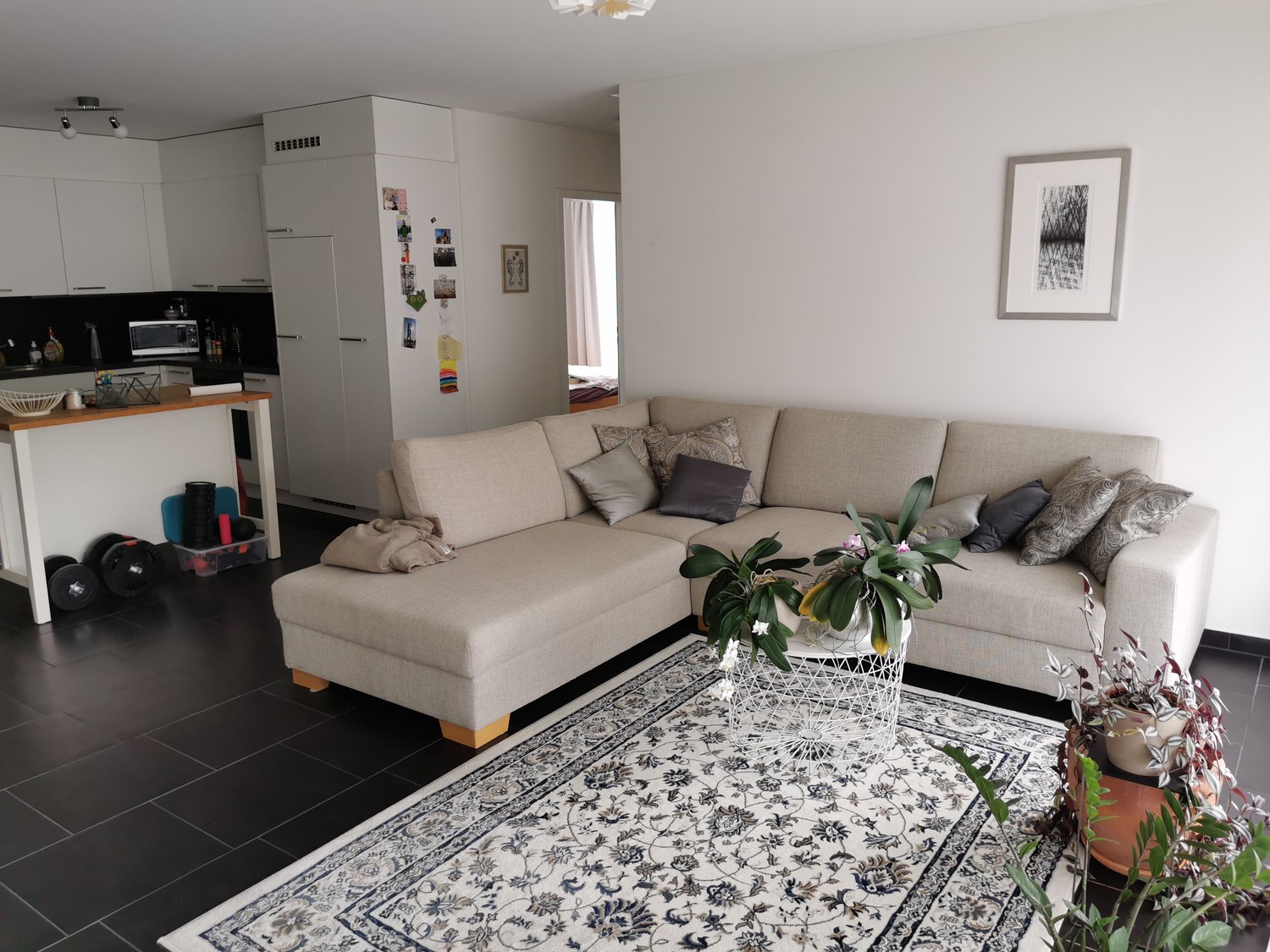 Furnished 3.5-room apartment for sublet in Zurich Schwamendingen–Stettbach