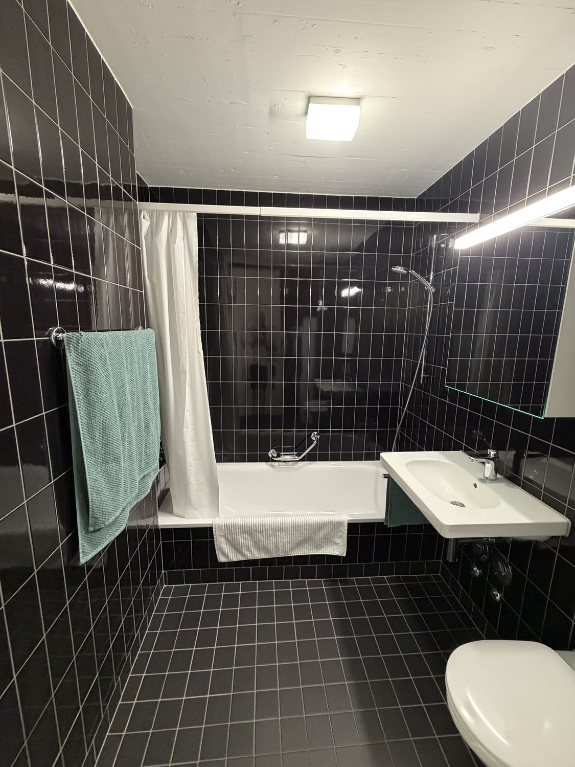 2 ½ Zimmer-Wohnung