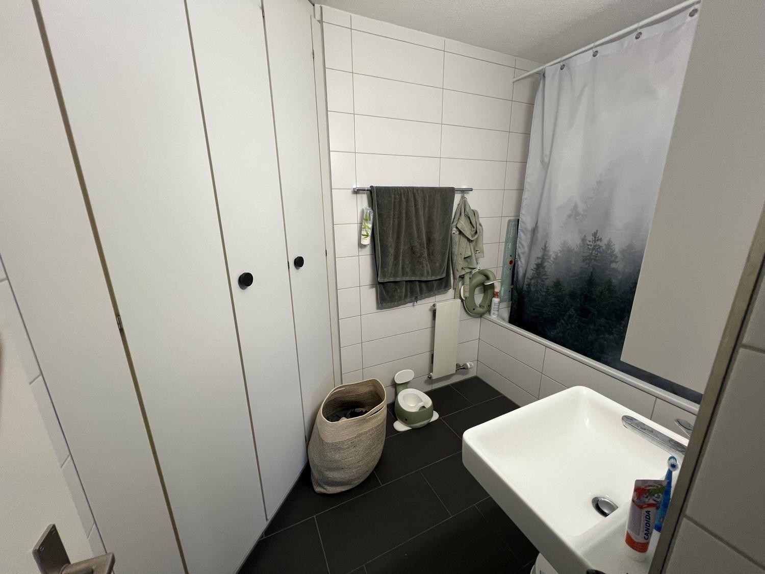 3 ½ rooms apartment, photo 10 of 10