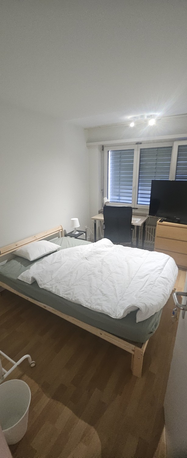 Room in a shared flat