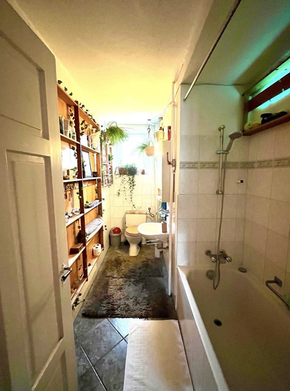 Room in a shared flat