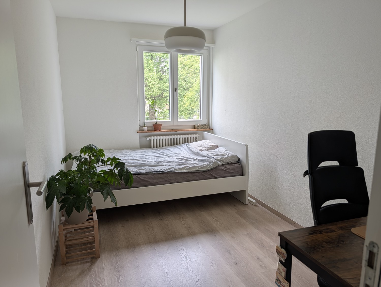 Chambre dans un appartement partagé