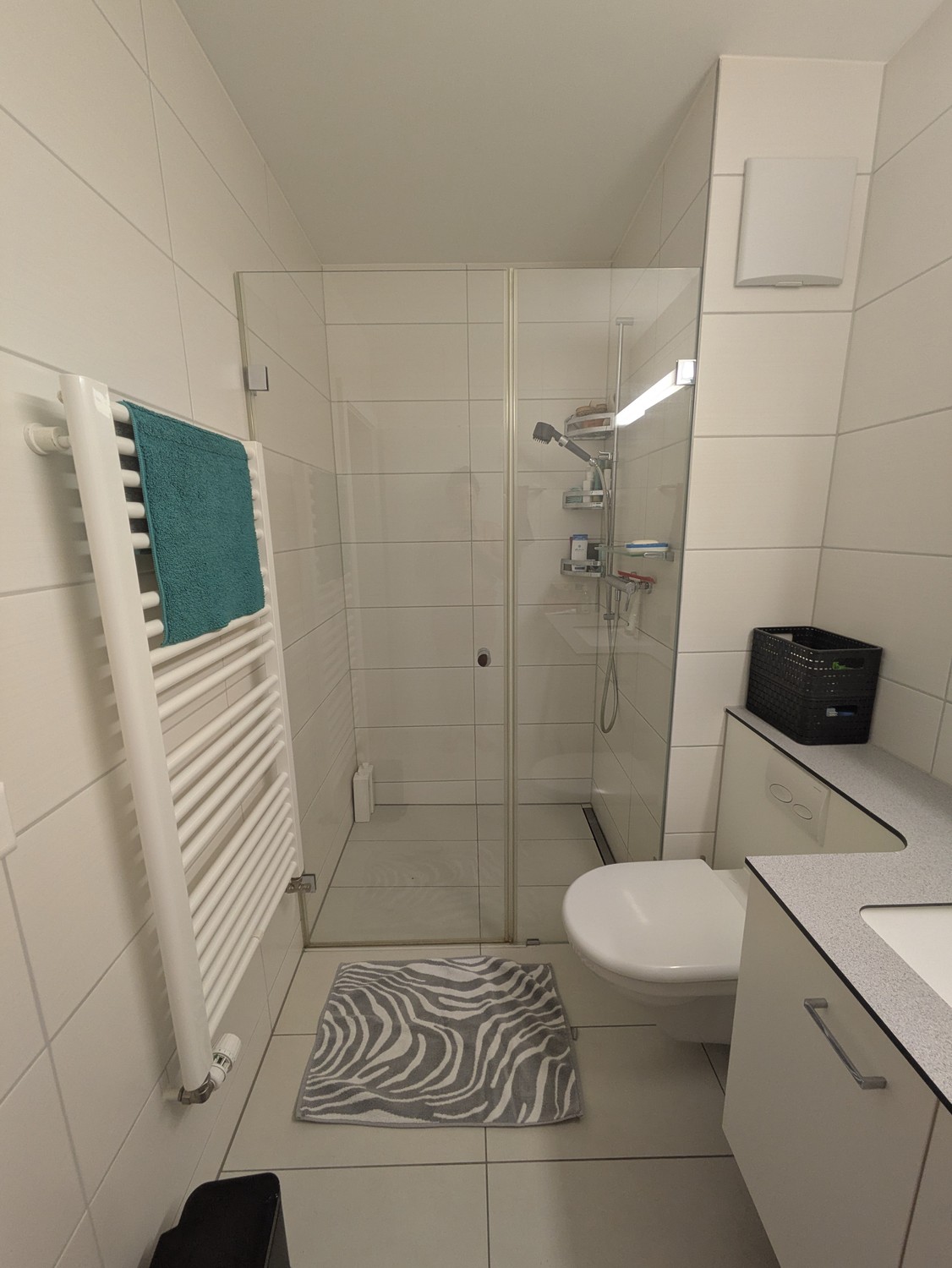 Chambre dans un appartement partagé
