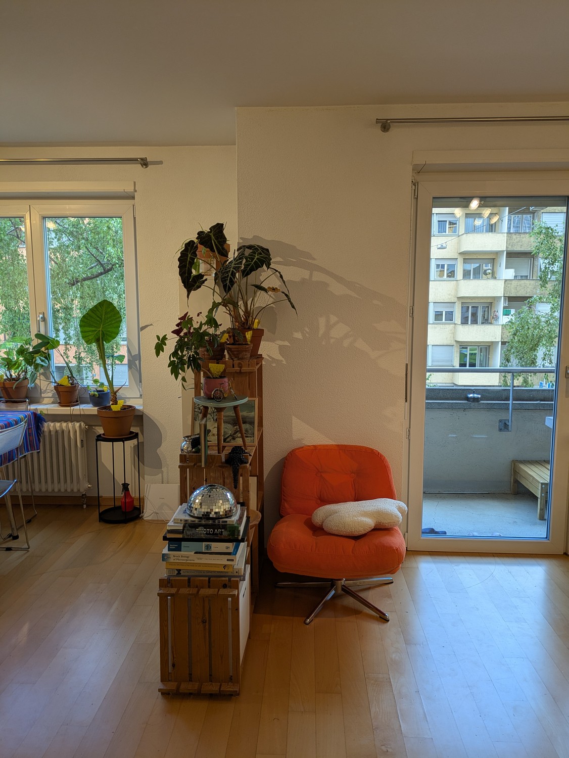 Chambre dans un appartement partagé