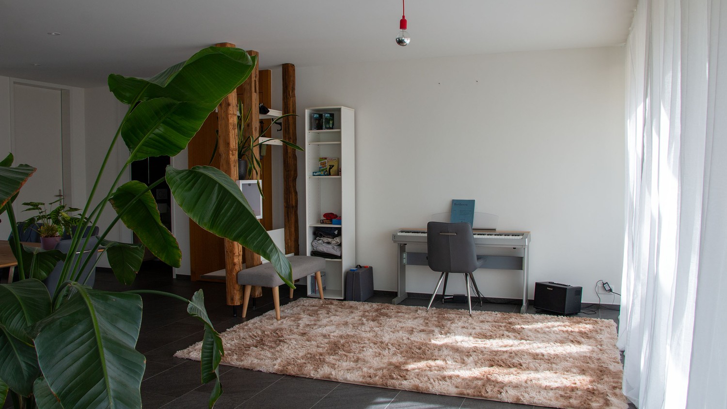 Room in a shared flat