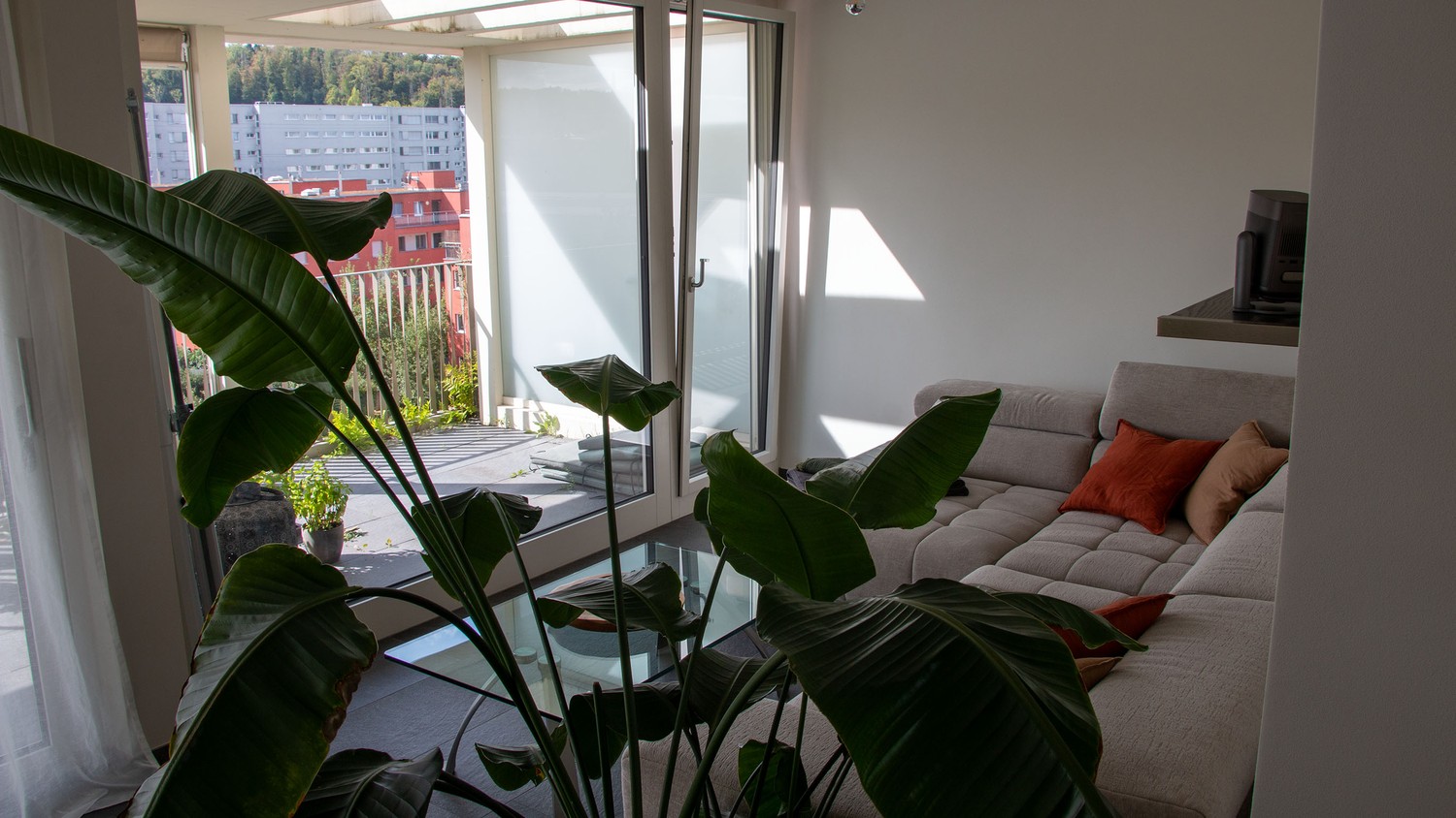Room in a shared flat