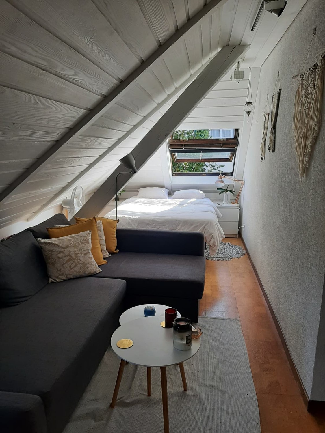Room in a shared flat