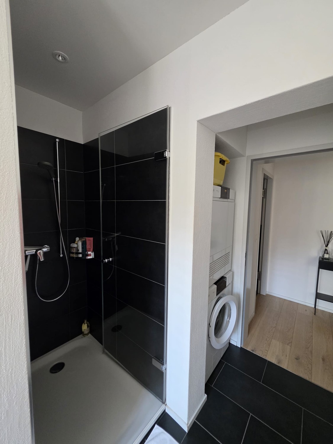 Appartement de 2 ½ pièces