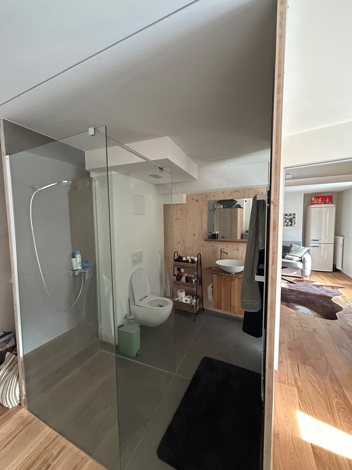 2 ½ rooms apartment, photo 4 of 10